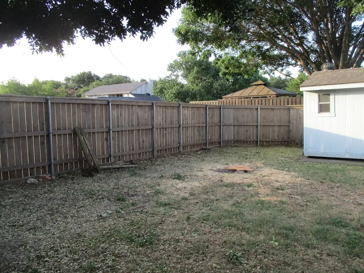 Cleared yard after professional tree removal in Weaver