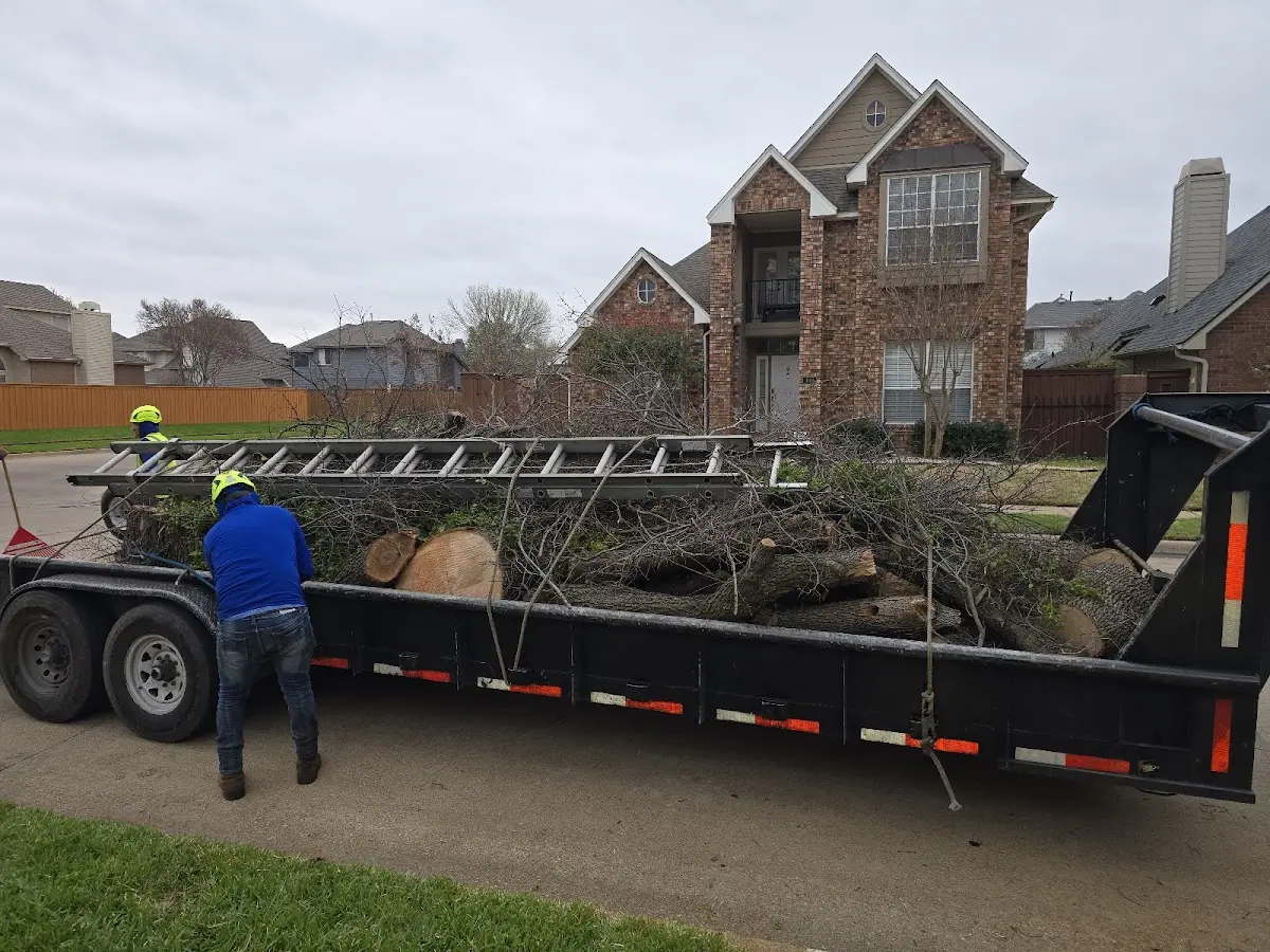 Expert Tree Fertilization with proper safety equipment in Weaver